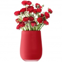 Váza LSA Silk Red